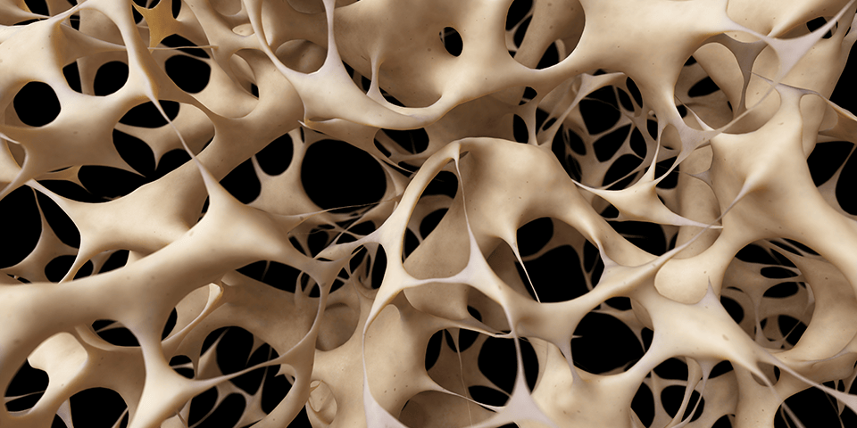 bonecells