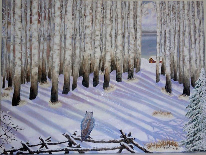 winter-birches-sunny-karuhaka